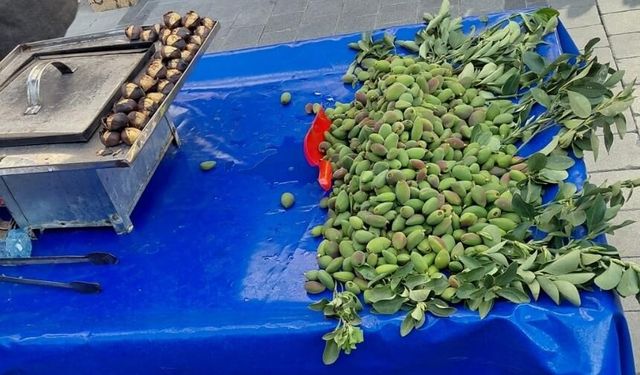 Baharın ilk meyvesi çağlabadem çıktı, fiyatı cep yakıyor