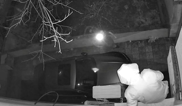 İzmir'de hırsızlık için binaya tırmanmıştı: Şüpheli ve beraberindeki kişi gözaltına alındı