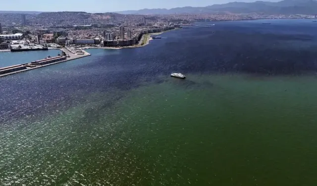 ABD’li ve Çin’li bilim insanlarından İzmir Körfezi için modifiye kil önerisi