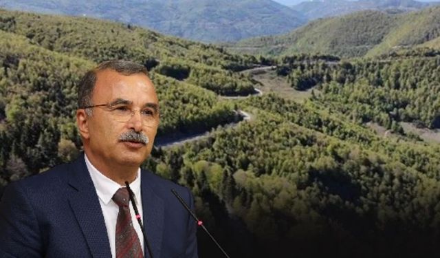 DEM Partili Akın, İzmir'deki ormanların tahsisini Meclis'e taşıdı: Üç bakana soru önergesi