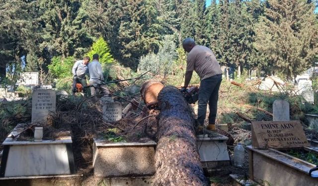 İzmir’deki fırtınadan mezarlıklar etkilendi: Devrilen ağaçlar kaldırıldı, onarıma başlandı