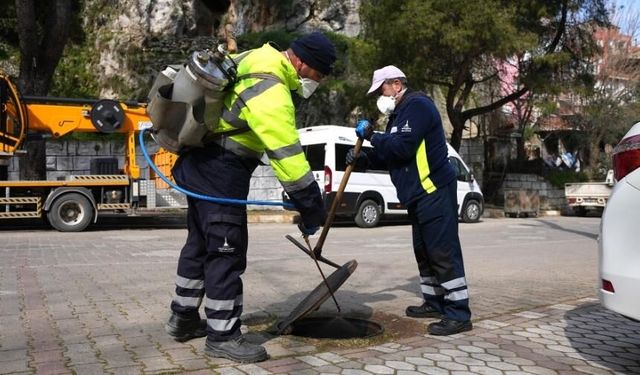 Kemalpaşa Belediyesi'nden haşerelere karşı mücadele