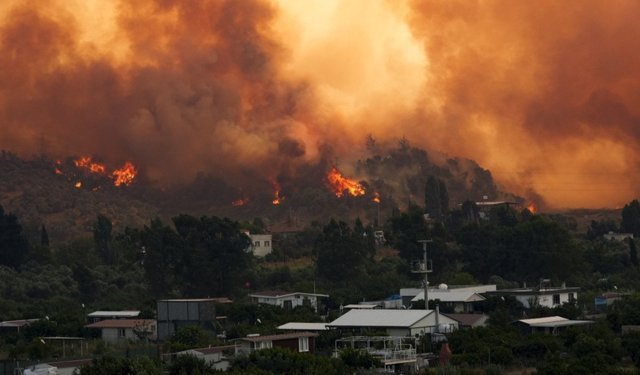 Ciğerlerimiz yandı: 2025’te 81 bin hektar orman kül oldu!