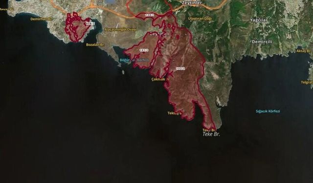 DEVA Partisi’nden İzmir’de orman tahsislerine tepki: Kıymayın efendiler!