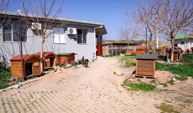 İzmir’de gıda israfına karşı yeni adım: Lokantalardan toplanan yemekler mamaya dönüşüyor