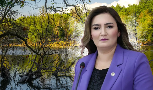 İzmir'in ormanları yapılaşmaya açıldı: CHP'li Kılıç'tan "Rant" tepkisi