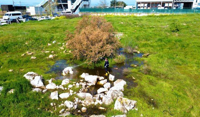 Torbalı’da sivrisineğe geçit yok: 12 ay süren mücadele