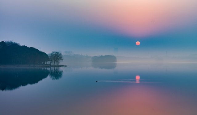 Karşıyaka’da Uluslararası Fotoğraf Yarışması’nda kazananlar belli oldu