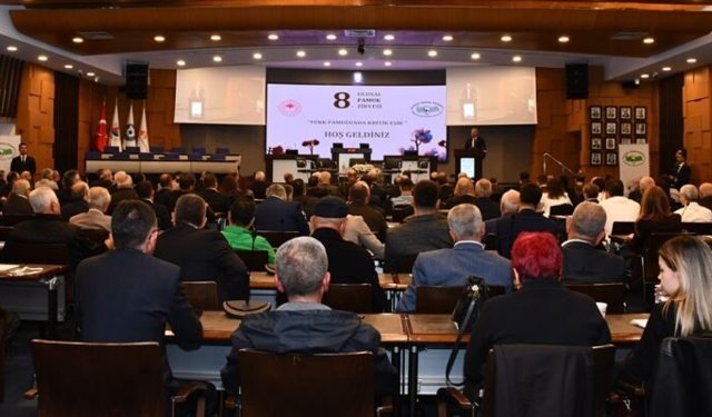 Tekstil sektörü 'Hürmüz gerilimi' nedeniyle sentetik yerine doğal pamuğa yöneldi