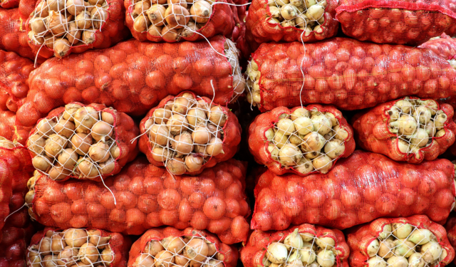 EİB Başkanı Hayrettin Uçak açıkladı:  Kuru soğan ihracatı ilk çeyrekte 15 kat arttı