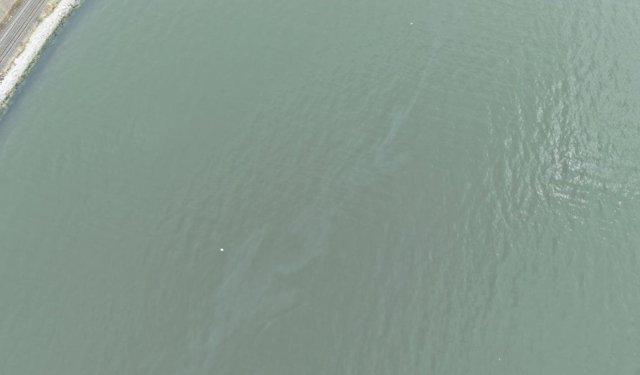 İzmir Körfezi’nde kirlilik alarmı: Aynı tehdit 11. kez görüldü