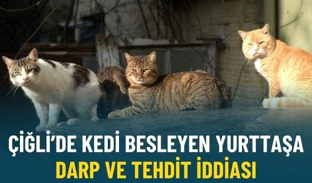 Çiğli’de kedi besleyen yurttaşa darp ve tehdit iddiası