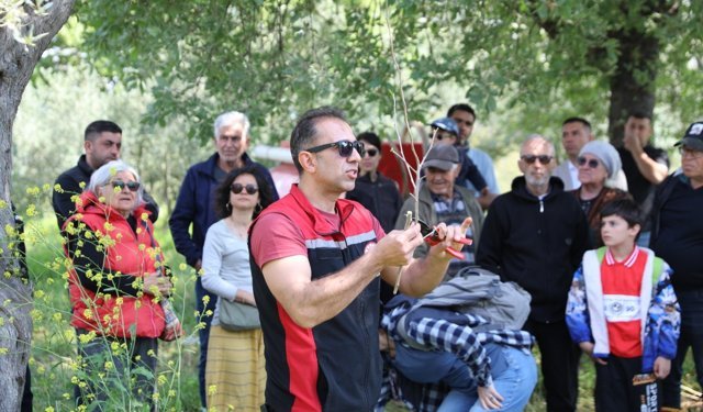 Seferihisar’da zeytin üreticilerine uygulamalı budama ve aşılama eğitimi