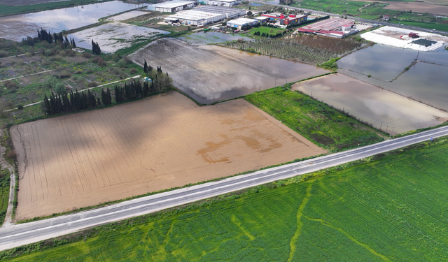 Torbalı'da tarım arazileri sular altında: Çiftçinin umudu yağışların normale dönmesinde