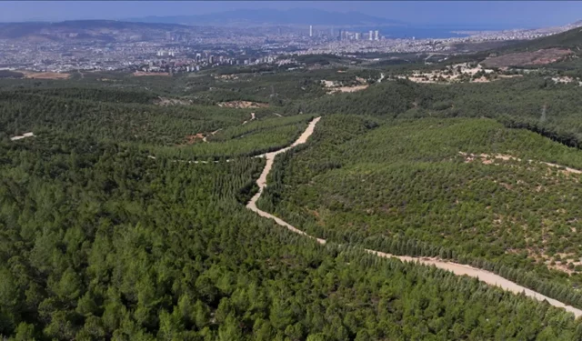 Urla’da o proje iptal: Arkeolojik sit alanına sadece 10 metre mesafedeydi