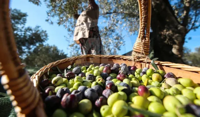 40 yıllık firma iflasın eşiğinde: BAKTAT konkortado ilan etti