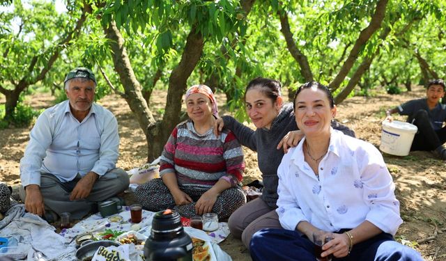 Başkan Sengel hasada katıldı... "Köylünün yeniden efendi olacağı günler yakın"