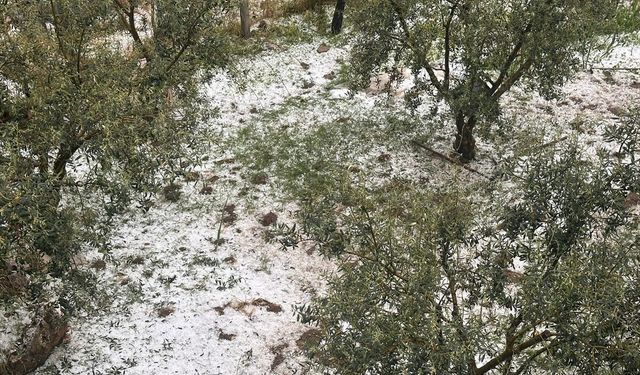 Manisa ve Afyonkarahisar'da dolu yağışı: 20 dakikada yerler bembeyaz oldu