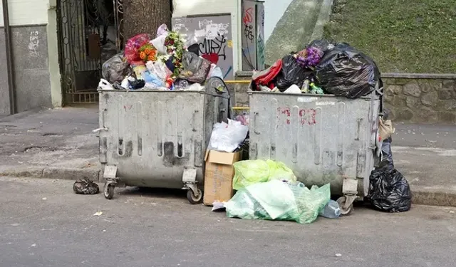 İzmir’deki kedi ölümlerinde yeni perde: Tahliyeye itiraz