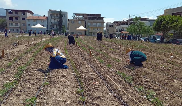 Bornova’da Kent Bostanı açıldı: Ata tohumuyla üretim dönemi