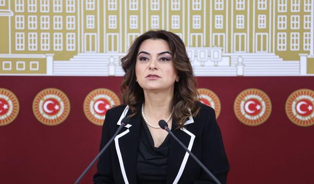 DEM Partili Koçyiğit’ten süreç mesajı: Barış için canımızı vermeye hazırız