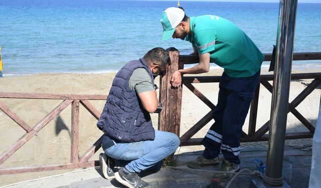 Kadınlar Denizi Plajı yaza hazır