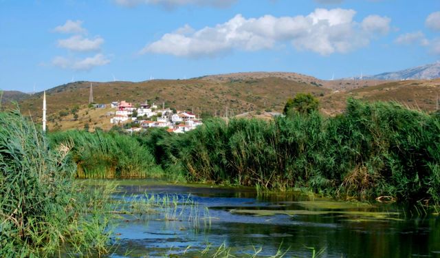 Karaburun'un doğasına hançer vuracaktı... Mahkemeden iptal kararı çıktı!