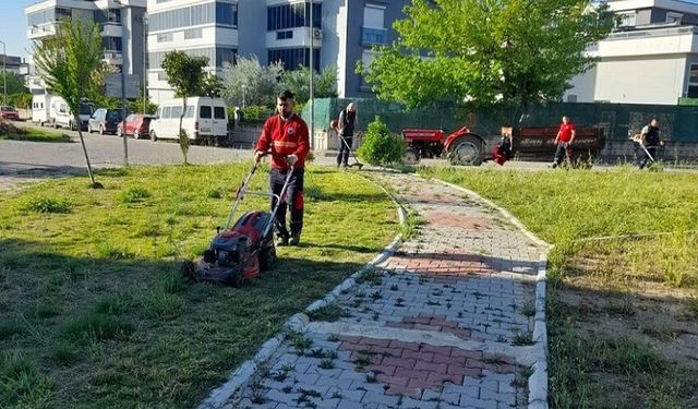 Menderes Belediyesi'nden ot biçme çalışmaları