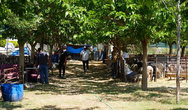 Seferihisar Belediyesi'nden bayram öncesi dayanışma çağrısı