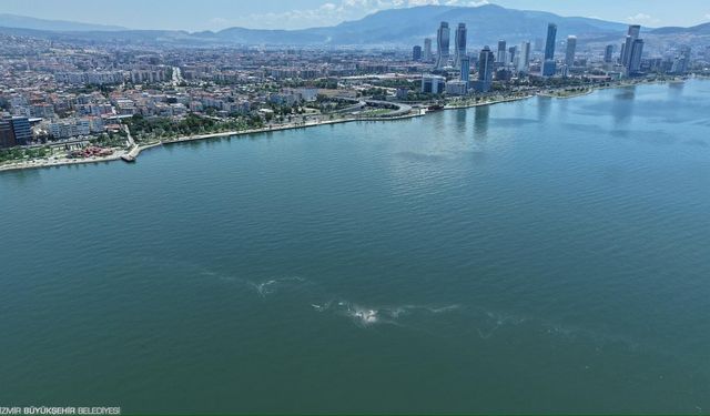 İzmir Körfezi’nde ‘sistematik’ ihanet: 7 ayda 14. kez aynı manzara!