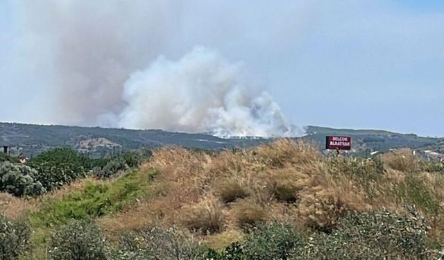 Çeşme’deki yangın kontrol altına alındı