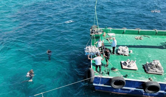 Çöpten resife… İzmir’de midye kabukları deniz yaşamına nefes oldu