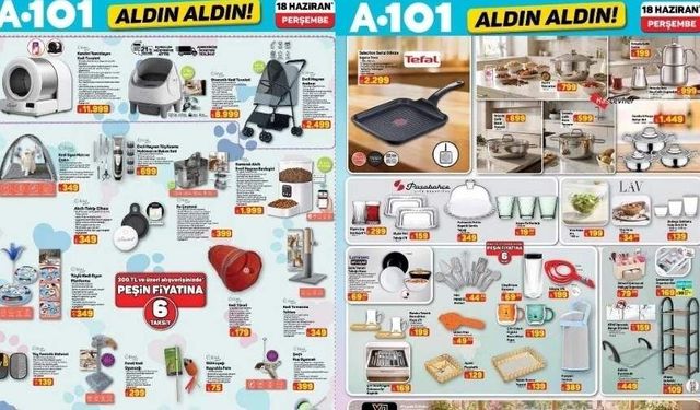 18 Haziran Perşembe A101 Aldın Aldın kataloğunda neler var?