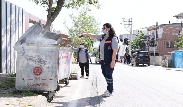 Bayraklı'da sineklere karşı yoğun savaş