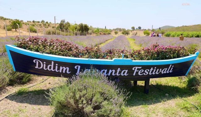 Didim’de Lavanta ve Aromaterapi Festivali 3 Temmuz’da kapılarını açıyor