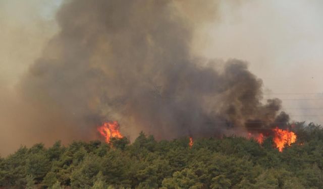 Güzelbahçe’de tarım arazisinde yangın alarmı: Kontrol altına alındı
