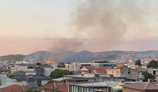 Seferihisar'da makilik alanda çıkan yangın kontrol altına alındı