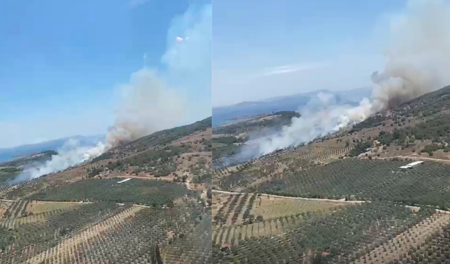 İzmir'de ziraat alanından makiliğe sıçrayan yangına müdahale sürüyor