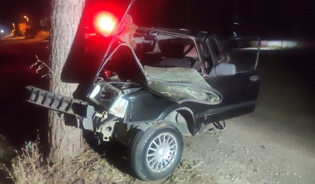 Ödemiş'te otomobilin ağaca çarpması sonucu 1 kişi öldü