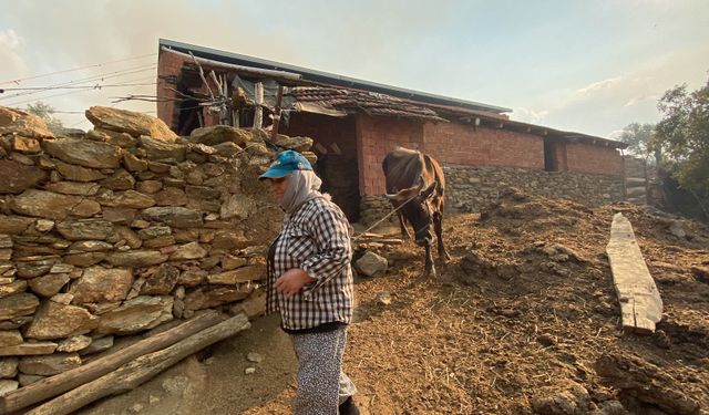 Aydın’da zeytinlik yangını: 20 ev tedbiren tahliye edildi