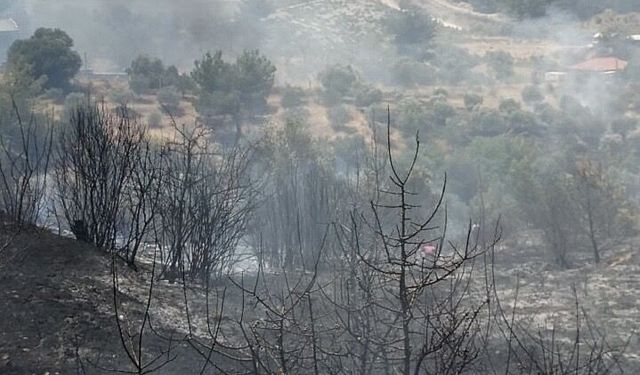 Kemalpaşa’daki yangında 'spiral makinesi' iddiası: 2 şüphelinin ifadesi alındı