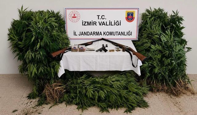 Ödemiş'te fotokapana yakalanan uyuşturucu yetiştiricisi tutuklandı