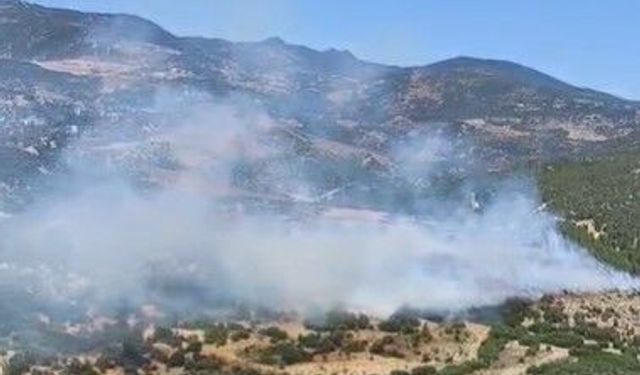 Bornova’da orman yangını: Müdahale sürüyor