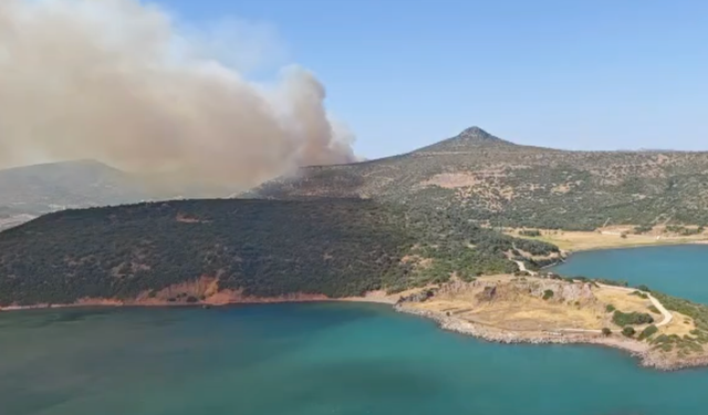 Foça’da orman yangını: 2 uçak 5 helikopterle müdahale sürüyor