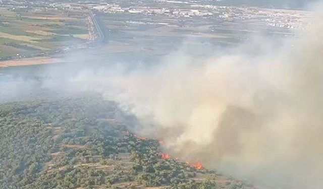 İzmir'de orman yangını: Havadan ve karadan müdahale sürüyor