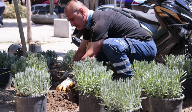 Konak'ta parklar yenileniyor: Çevre dostu uygulamalar devrede