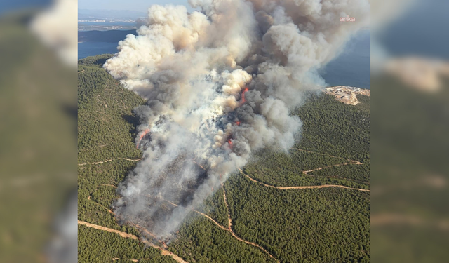 Muğla’da 3 ayrı noktada yangın: Müdahale sürüyor