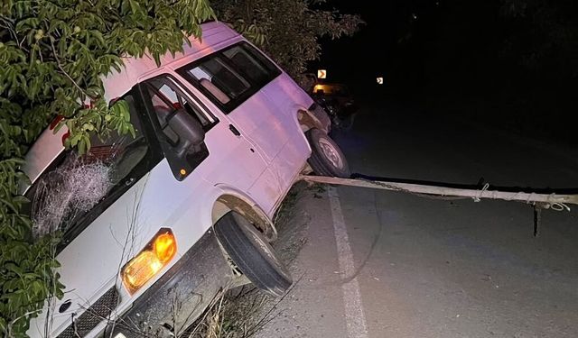 Ödemiş'te minibüs ağaca çaptı: 2 kişi yaralandı