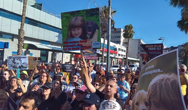 İzmir'de Valilik önüne polis barikatı: Hayvanseverlerden 'toplama' tepkisi