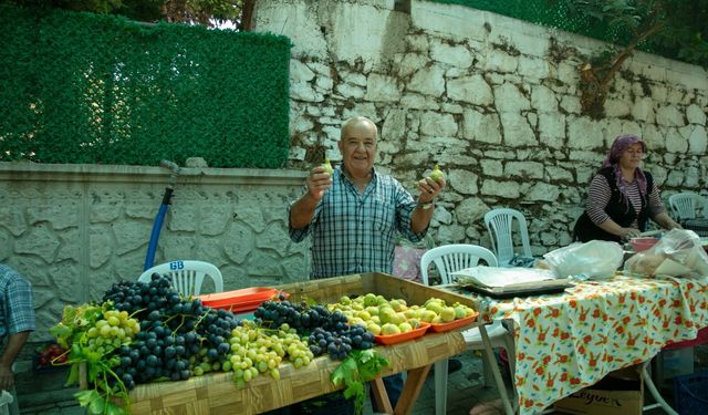 İzmir’de bardacık coşkusu: En iyi incir belli oldu